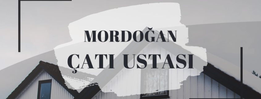 MORDOĞAN ÇATI USTASI, ÇATI USTASI MORDOĞAN, ÇATI AKTARMA MORDOĞAN, ÇATI ONARIMI MORDOĞAN, ÇATI ONARIMI FİYATI MORDOĞAN, MORDOĞAN ÇATI FİYATLARI, MORDOĞAN ÇATI ONARIMI, ÇATI AKTARMA FİYATLARI MORDOĞAN, MORDOĞAN KİREMİT ÇATI TAMİRİ, KİREMİT ÇATI TAMİRİ MORDOĞAN, MORDOĞAN KİREMİT ÇATI, KİREMİT ÇATI MORDOĞAN, ÇATI TADİLATI MORDOĞAN, MORDOĞAN ÇATI TADİLATI, PROFESYONEL ÇATI TAMİRİ MORDOĞAN, MORDOĞAN PROFESYONEL ÇATI TADİLATI, MORDOĞAN PROFESYONEL ÇATI TAMİRİ, PROFESYONEL ÇATI TADİLATI MORDOĞAN